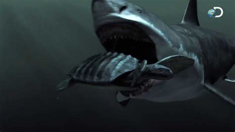 megalodon shark documentary discovery.